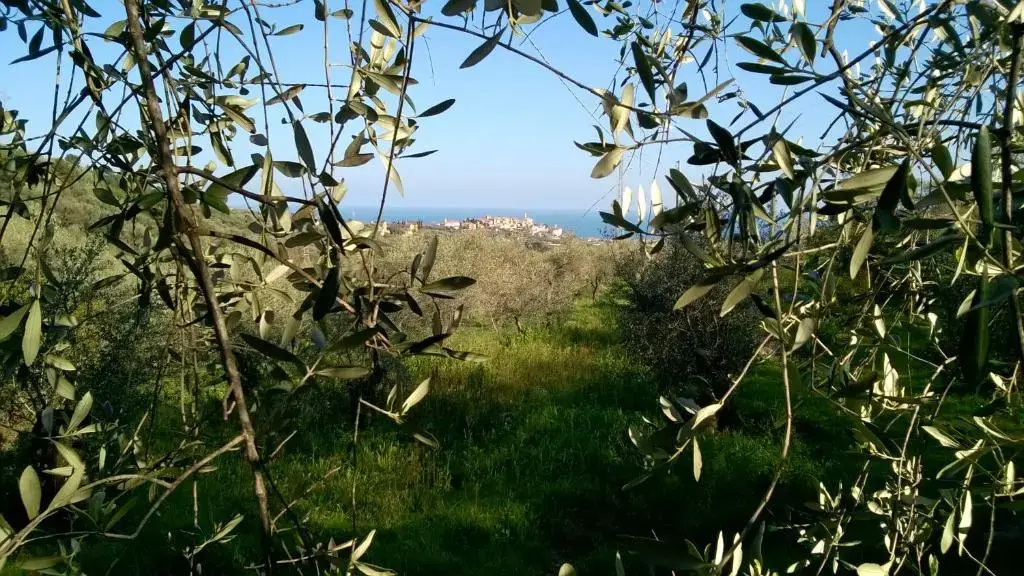B&B Ca de Pippu