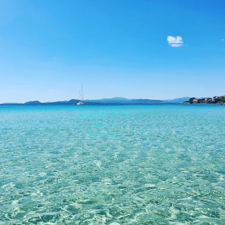 Appartamento delfini sul mare