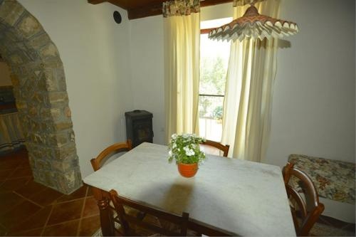 Apartments Cvita