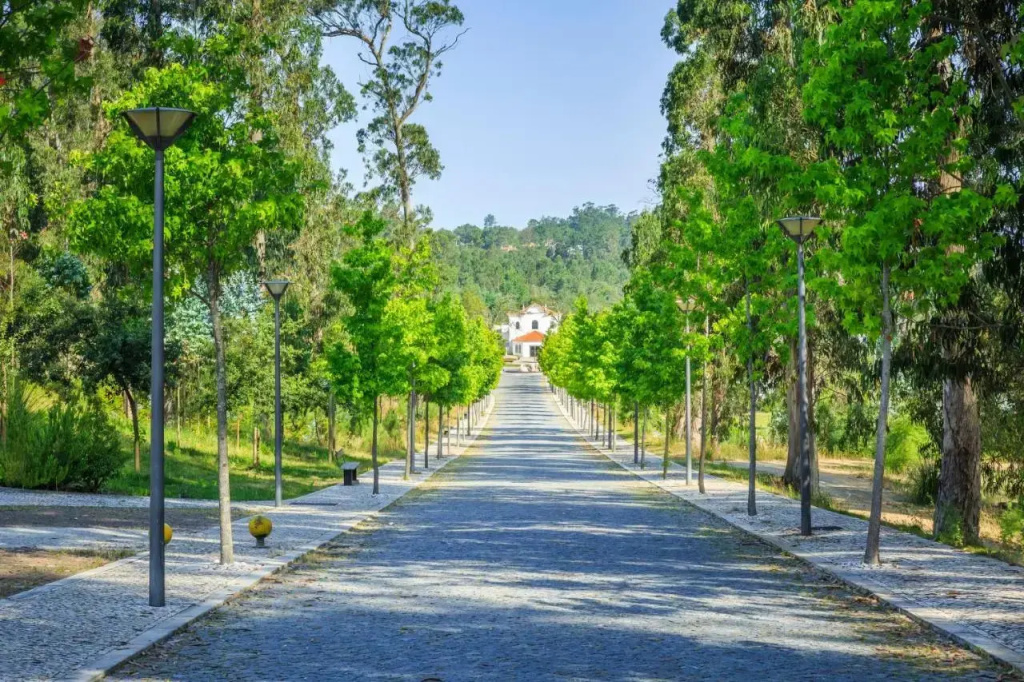 Monte Real - Hotel, Termas & Spa