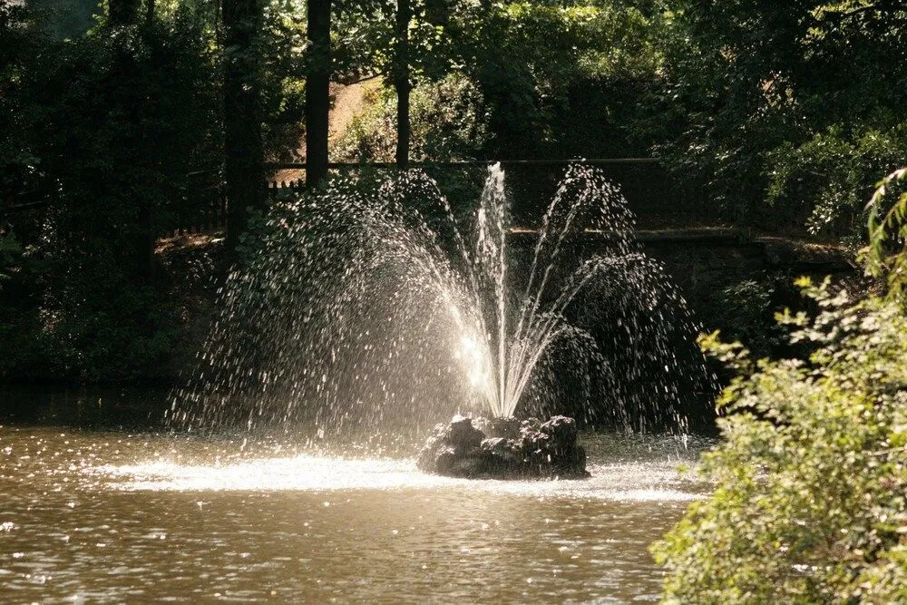 Hotel Schwanenweiher Bad Bertrich