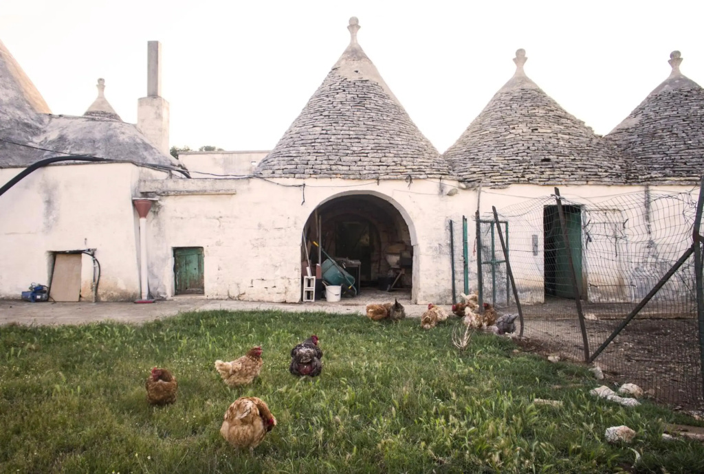 Trulli sul vignale in Masseria Santalachicca