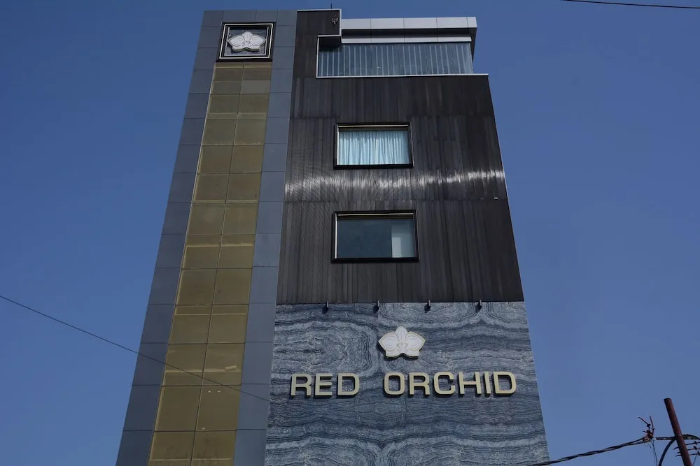 Red Orchid