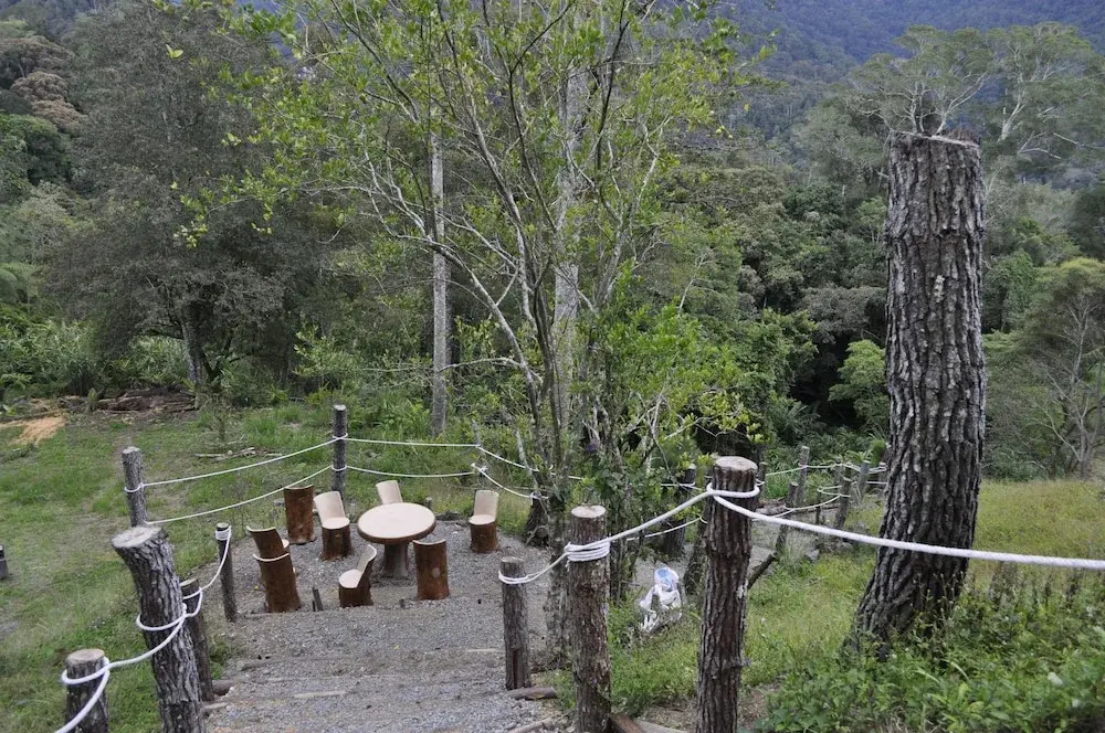 Wayn Zen Rose Cabin