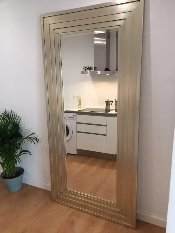 AHRO Suites Plaza María Guerrero 4