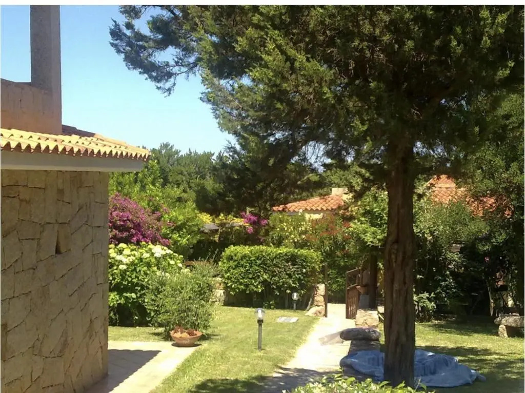 House with 3 bedrooms in Cannigione with wonderful sea view enclosed garden and WiFi 600 m from the beach