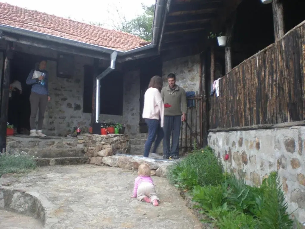 Erendgikovs House