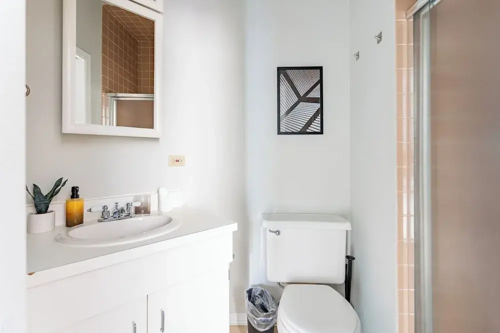1BR Apt in Lincoln Park - Lincoln 3E