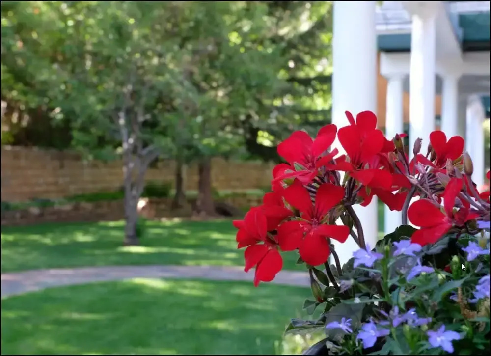 Secret Garden Bed & Breakfast