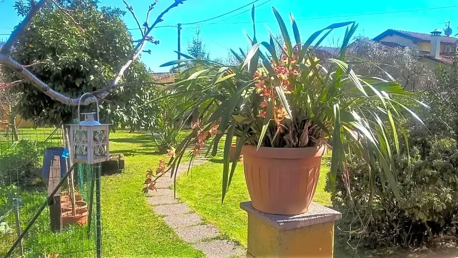 BB Villa Cera Una Volta