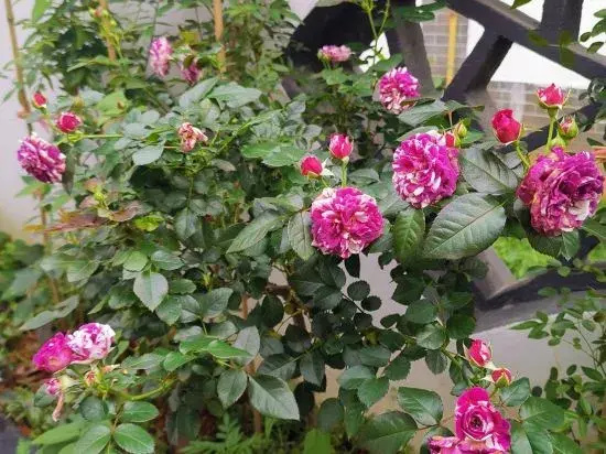 Yongzhou Xiaoxiang Xuyuan Homestay