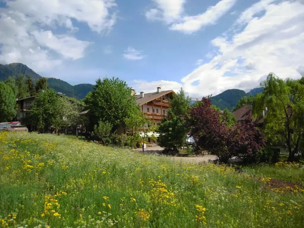 Albergo Bellaria