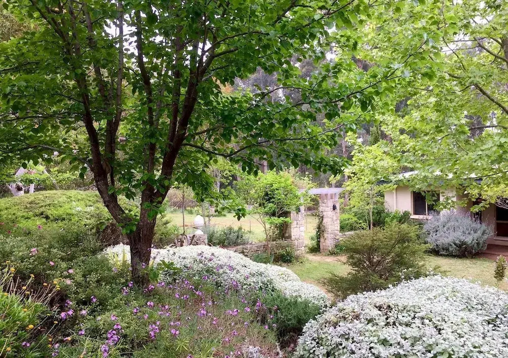 Naturescape