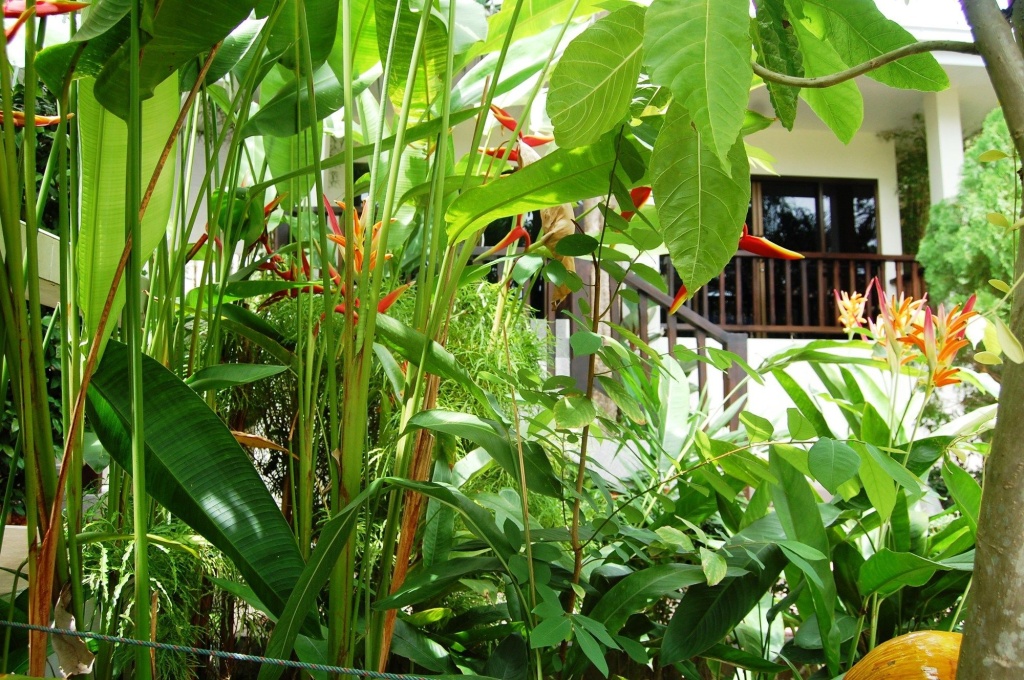 Baan Sawan Samui Resort
