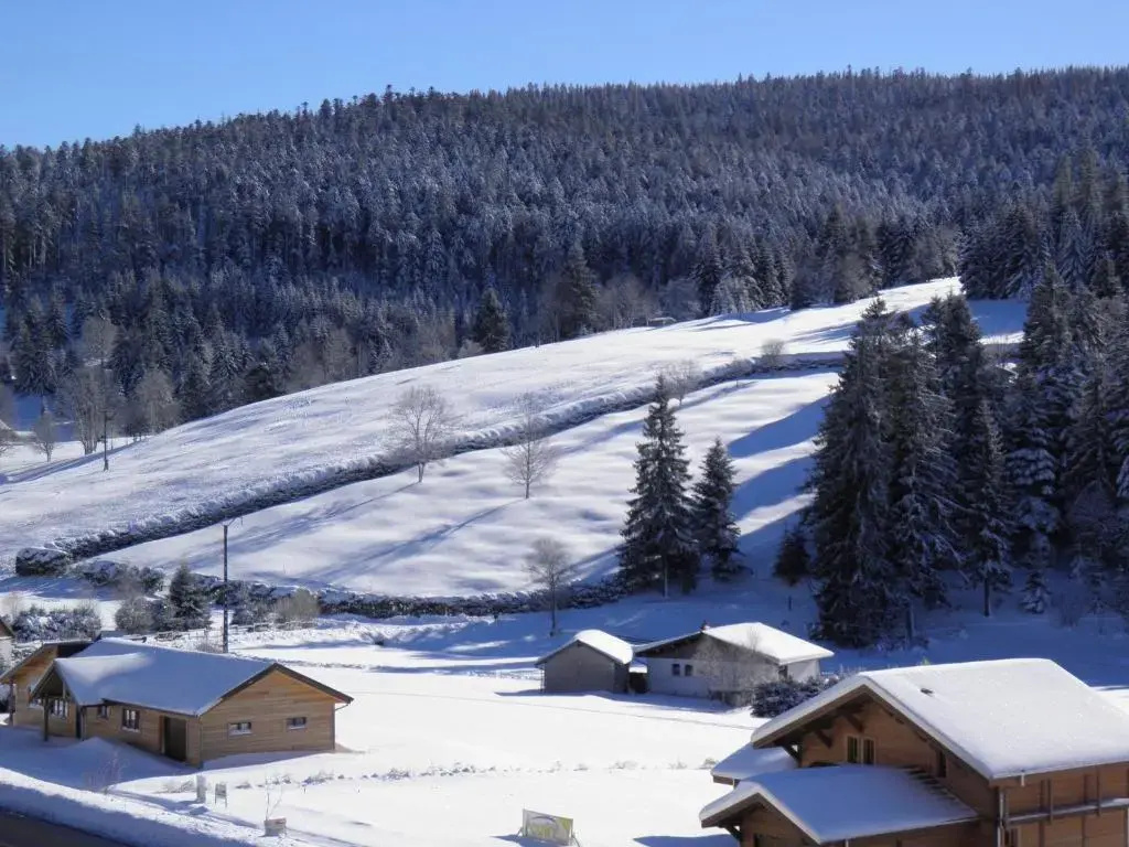 Chalet rénové proche du Valtin – Idéal pour famille, randonnées et ski, Wifi, luges fournies - FR-1-589-150