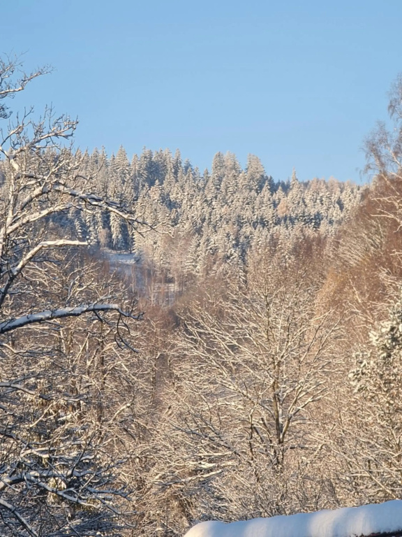 Sieraton Pokoje i Apartament