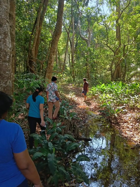 Arippa Eco Tourism-Stay Inside Forest