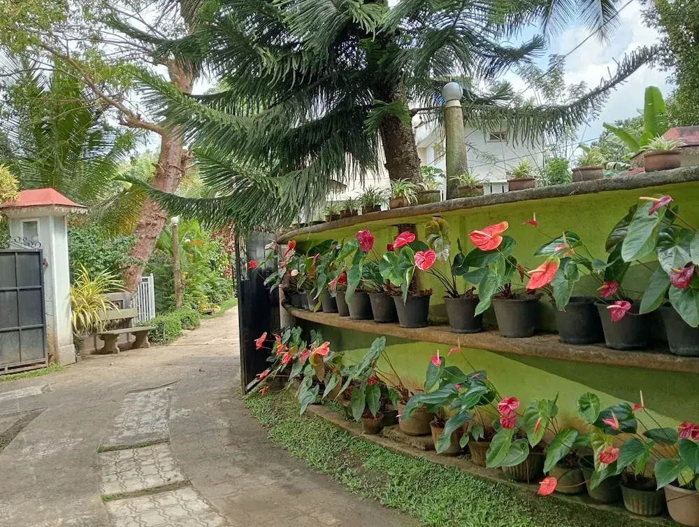 Power Zone Guest House