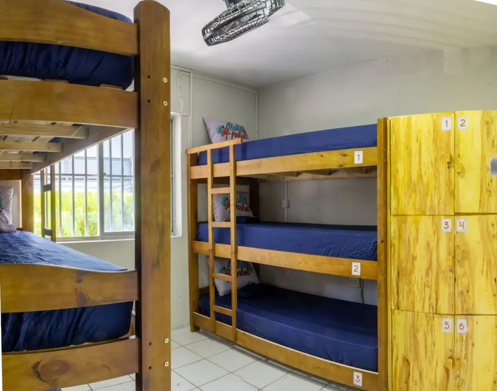 Aloha Hostel Pinhões