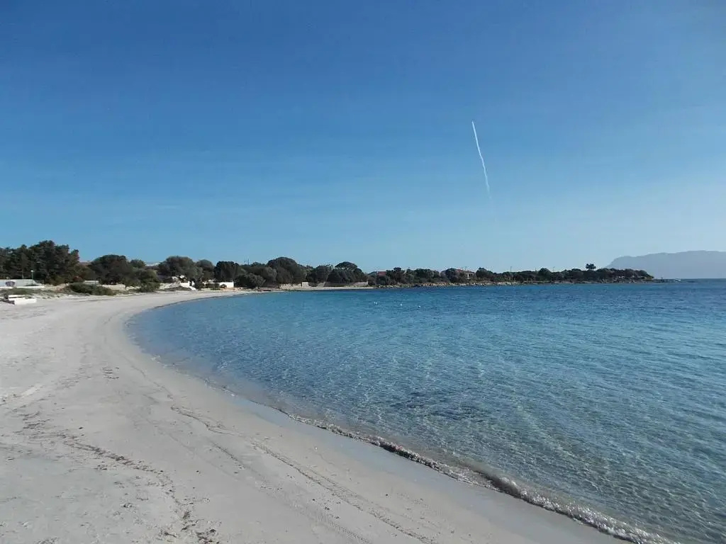 Appartamento MaGiBac Due - Zona Olbia Mare - IUN Q7449