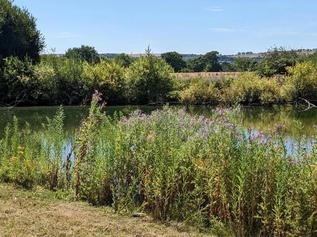 E7 Roebeck Country Park