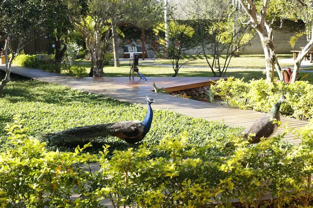 Rancho Litoral Búzios