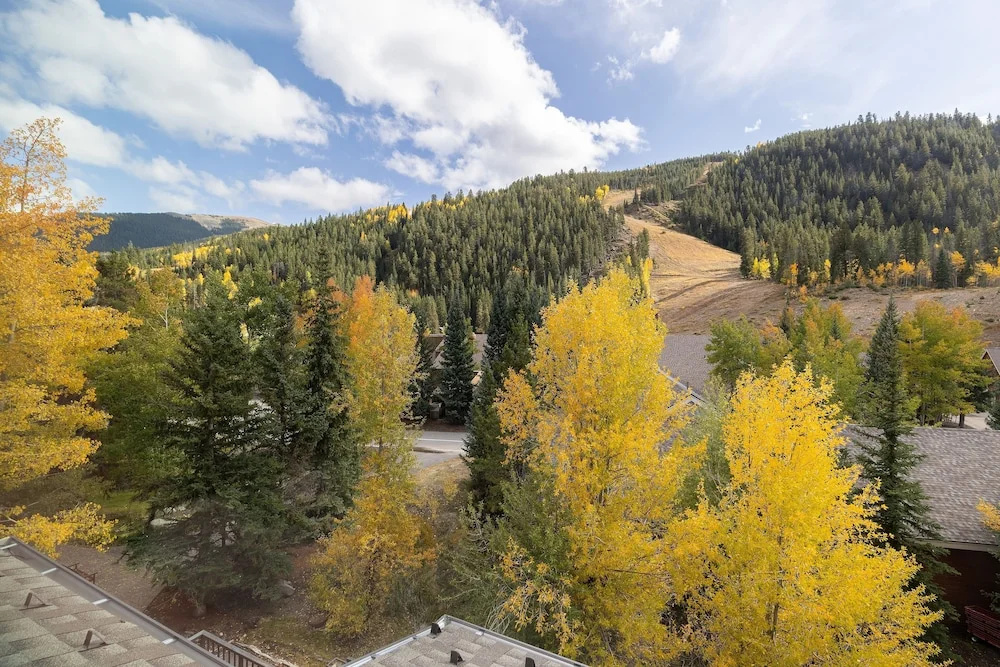 2795 Slopeside 1 Bedroom Condo