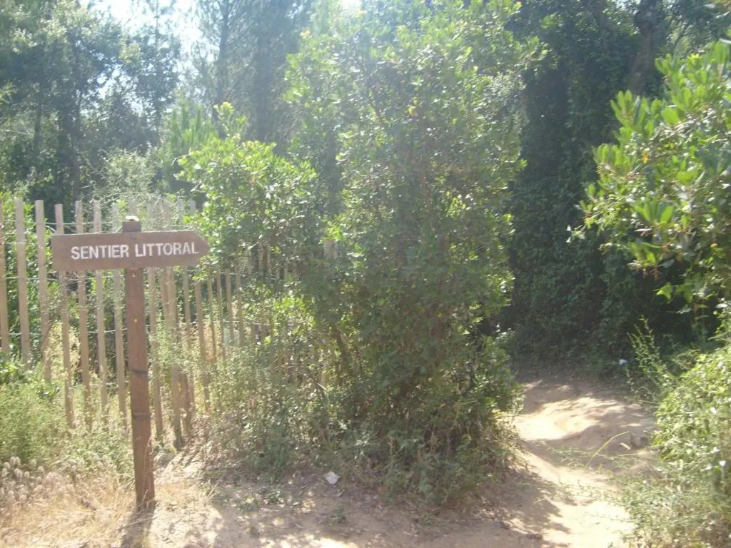 Les Soleiades