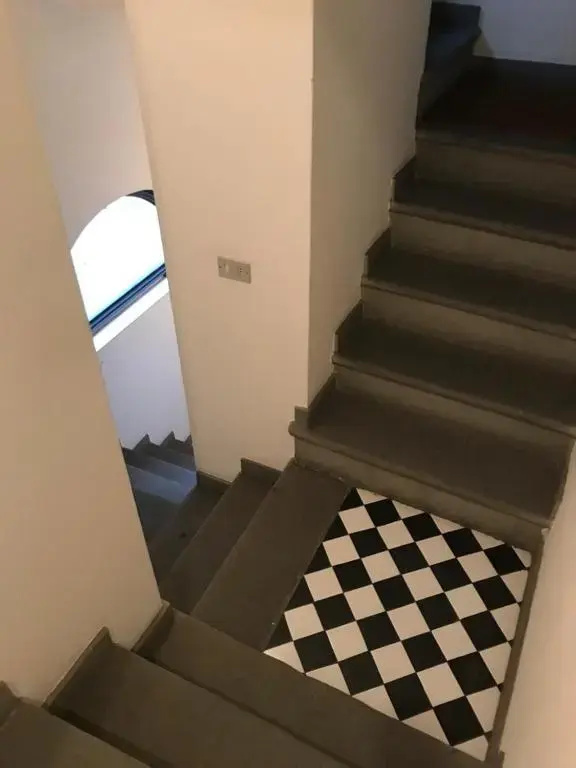 Gatto Bianco Bergamo 9