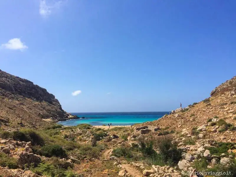 Casa Vacanza Delfino Rosa
