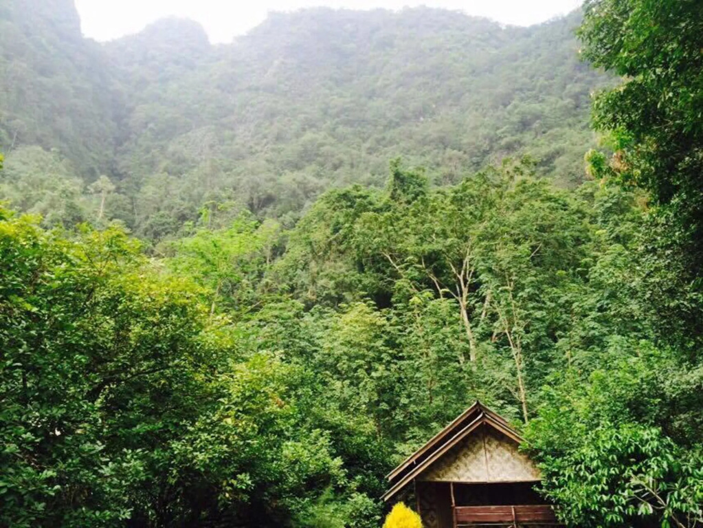 Khao Sok Green Mountain View