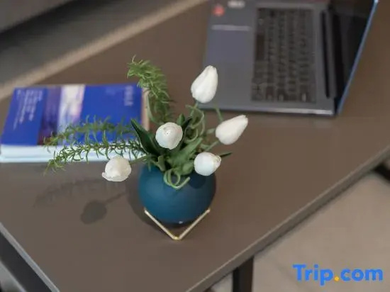 Homeinn Plus (Suzhou Suning Square National Purchase Store)