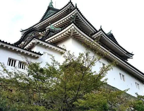 Tsukiji Hostel Wakayama 2