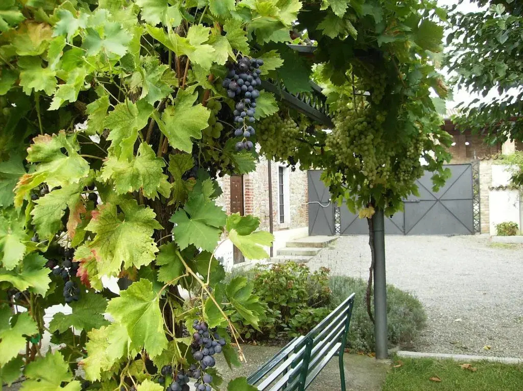 Agriturismo Casa Garello