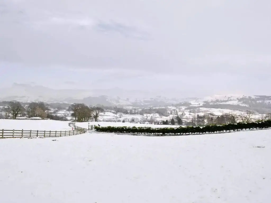 Tarns Cottage