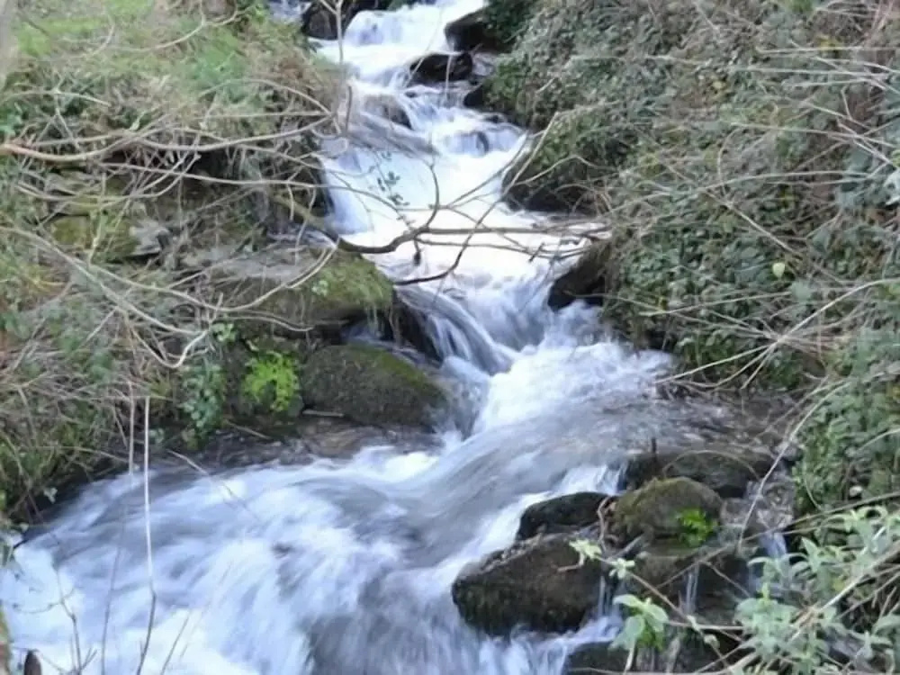 The Sandrock Lynton
