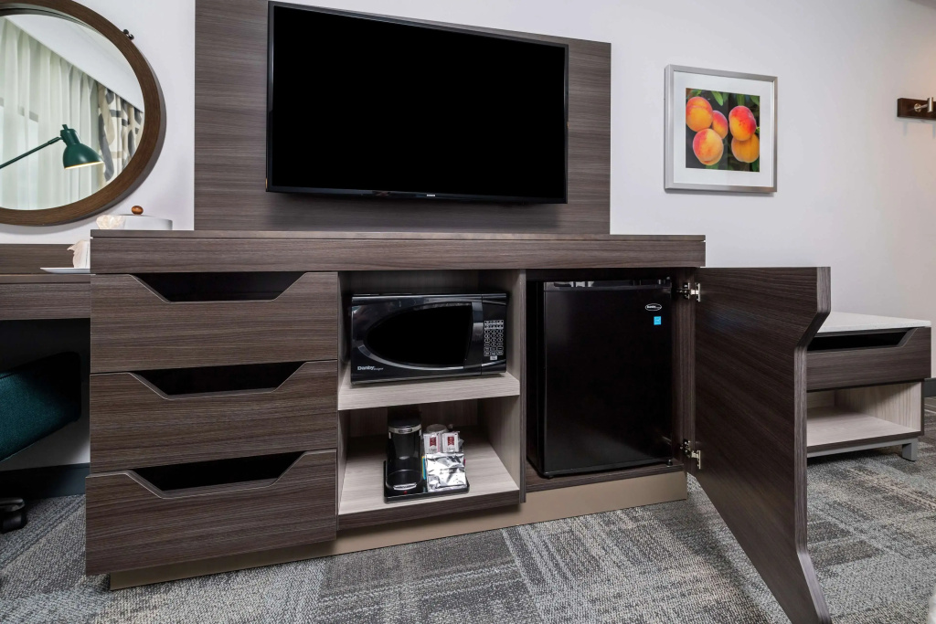 Hampton Inn & Suites Snellville Atlanta Ne