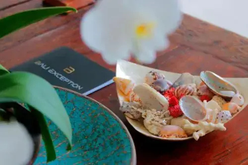 Villa Minha Gente Seminyak