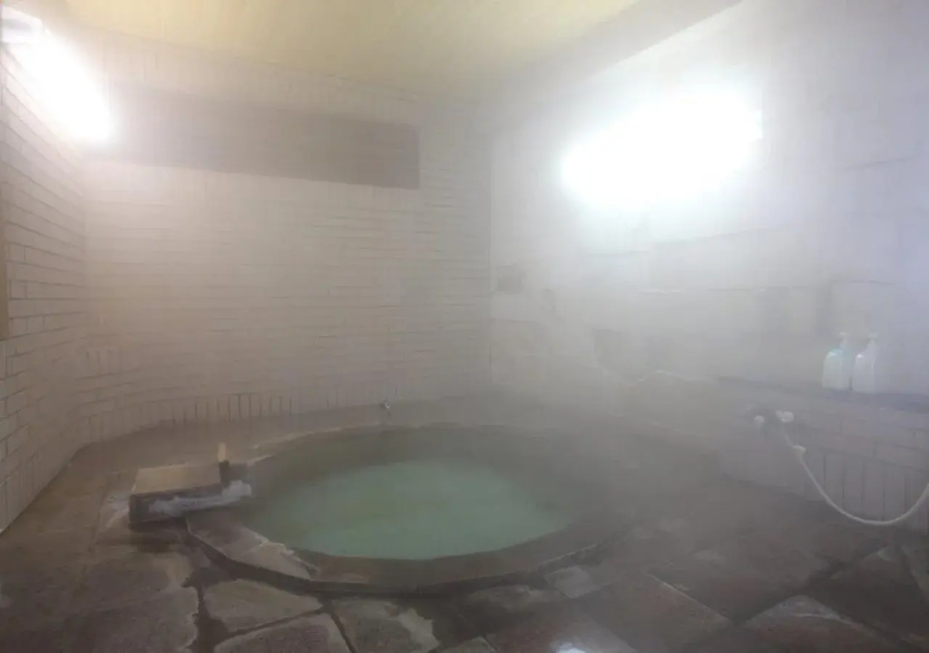 Hatsunoyu hotel