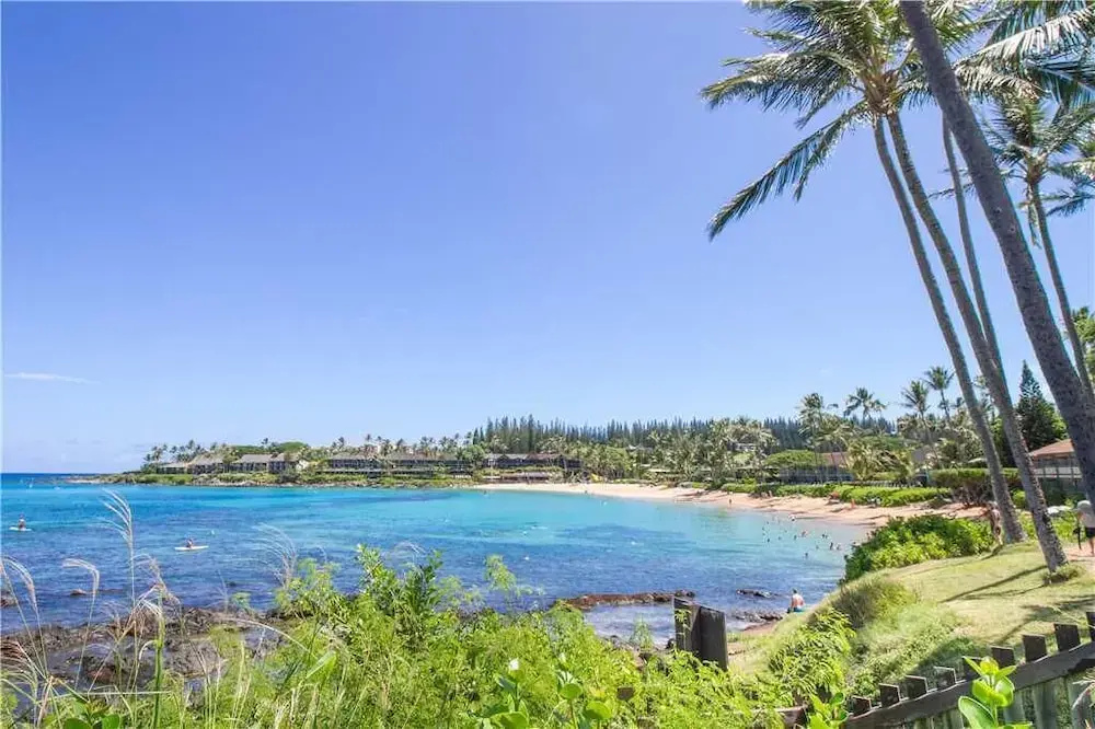 Napili Bay 204 - One Bedroom Studio Suite