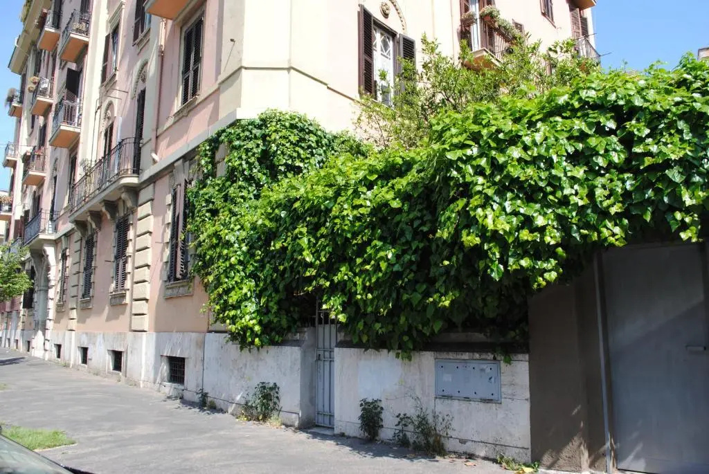 Orange Garden Guest House
