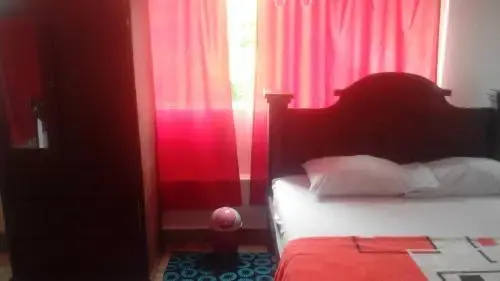 The Culture Hostel