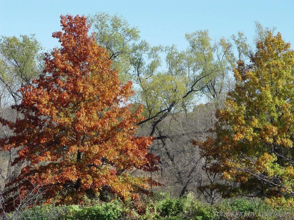 Crowne Plaza Minneapolis West by IHG