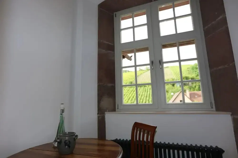 Domaine La Cour Des Nobles - Demeure, Maison et Appartements au coeur de Riquewihr