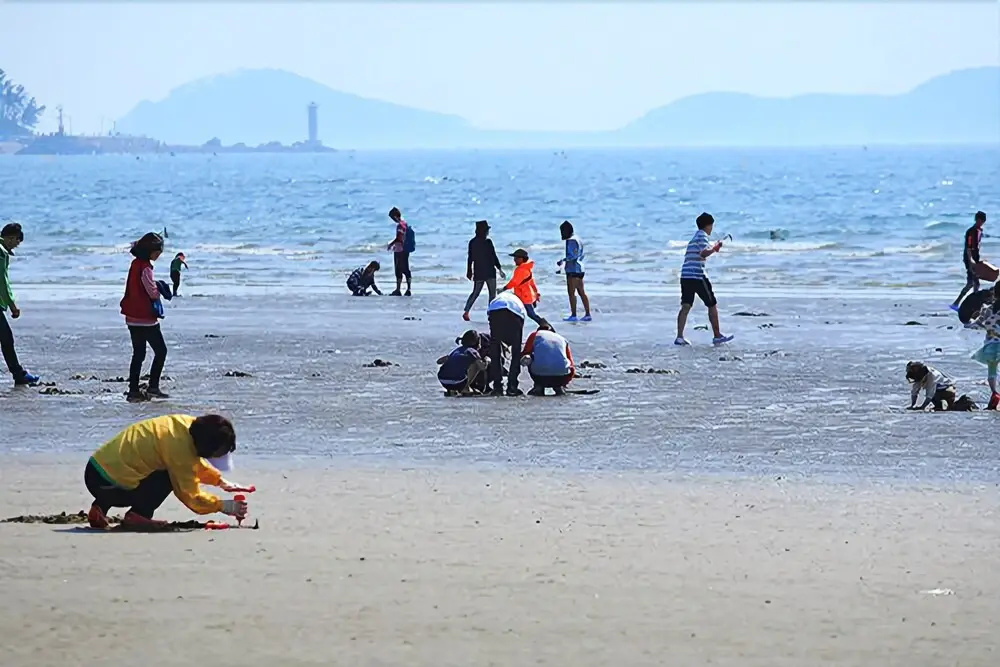 Taean Yauri Pension