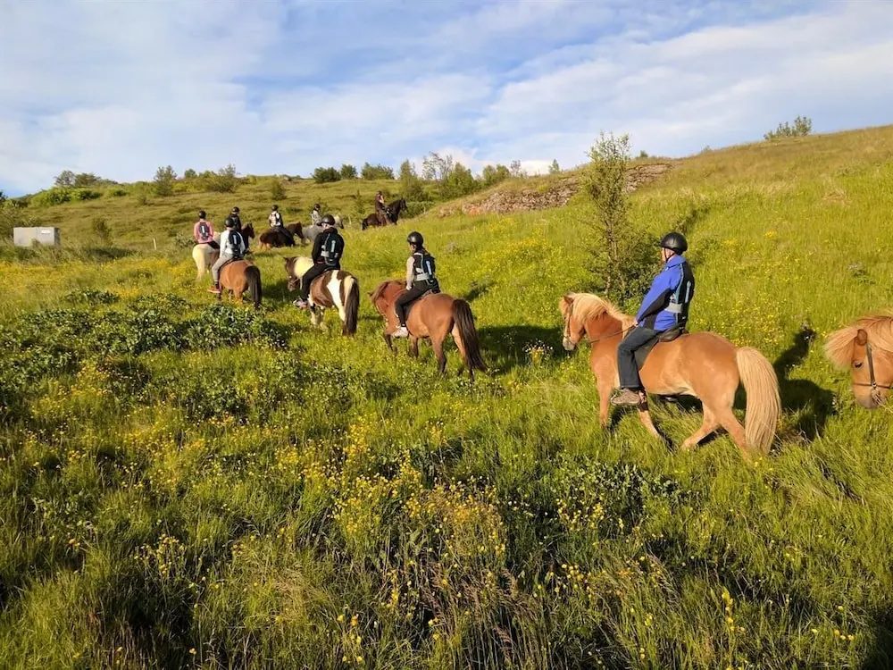 Finnsstaðir Horse Ranch