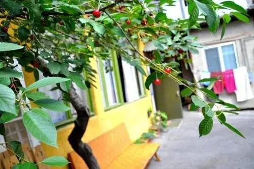 Old City Hostel