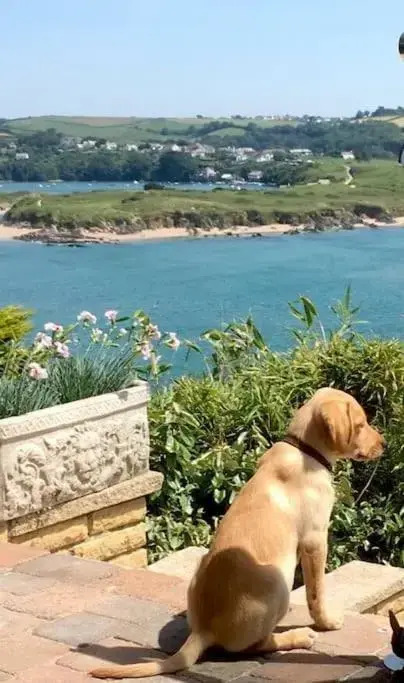 The Stables @ Higher Stancombe Farm