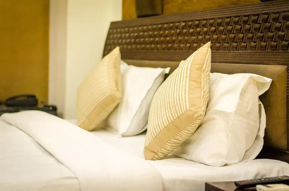 Capital O 312 Hotel Aster Inn