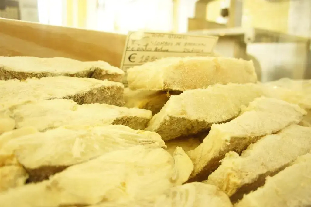 Charming Apartment Tram 28